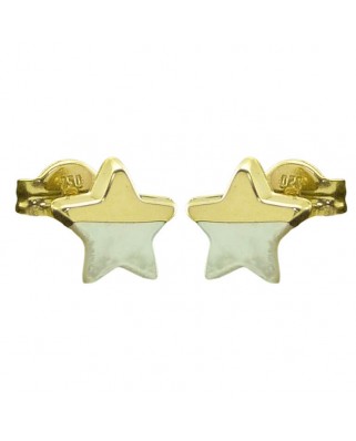 PENDIENTES ESTRELLA NACAR 8MM PRESION